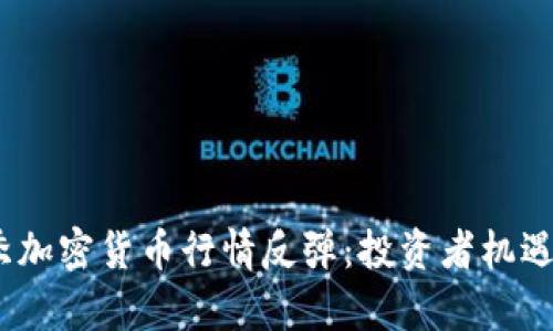 2023年秋季加密货币行情反弹：投资者机遇与风险并存