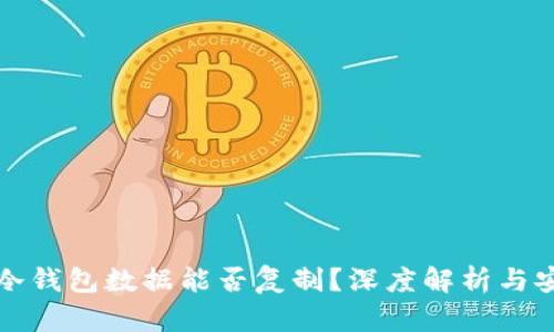 比特币冷钱包数据能否复制？深度解析与安全防护