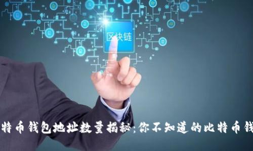 比特币钱包地址数量揭秘：你不知道的比特币钱包