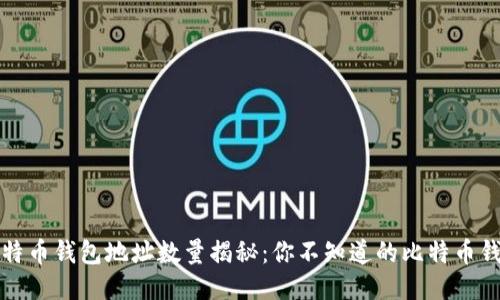 比特币钱包地址数量揭秘：你不知道的比特币钱包
