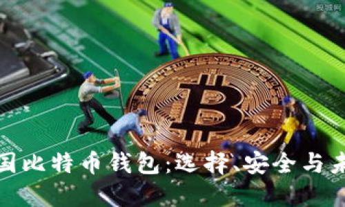 揭秘韩国比特币钱包：选择、安全与未来趋势