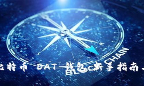 如何安全使用比特币 DAT 钱包：新手指南与常见问题解答