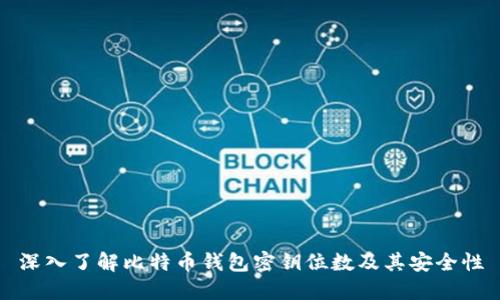 深入了解比特币钱包密钥位数及其安全性