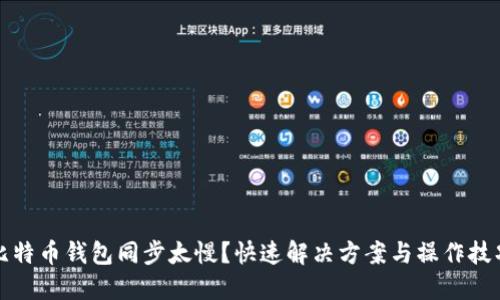 比特币钱包同步太慢？快速解决方案与操作技巧