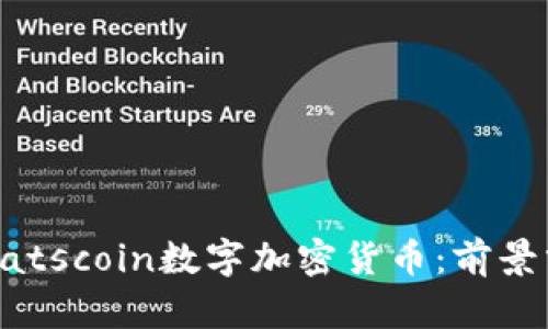 2023年最新Kratscoin数字加密货币：前景分析与投资指南
