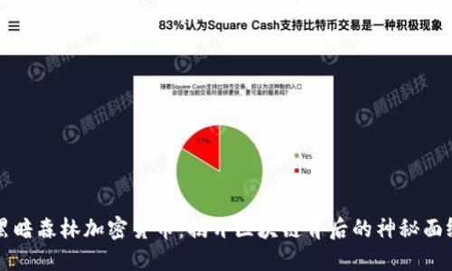 黑暗森林加密货币：揭开区块链背后的神秘面纱