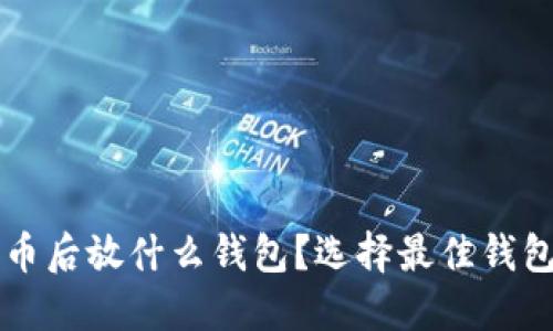 买比特币后放什么钱包？选择最佳钱包的指南
