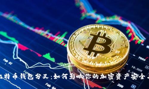 探索比特币钱包分叉：如何影响你的加密资产安全与价值