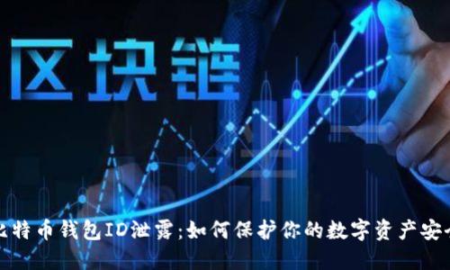 比特币钱包ID泄露：如何保护你的数字资产安全