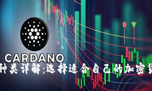 比特币钱包种类详解：选择适合自己的加密货币存储方式