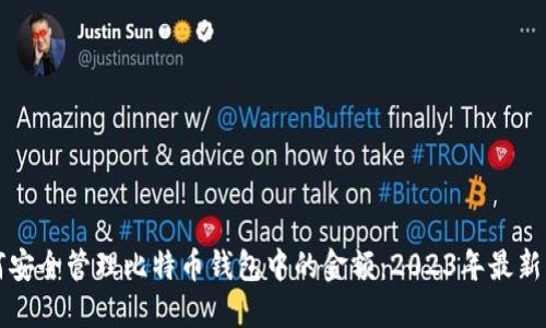 如何安全管理比特币钱包中的金额：2023年最新指南