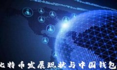 2023年比特币发展现状与中国钱包选择指南