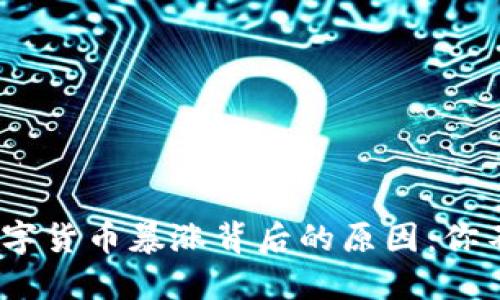 揭秘2023年加密数字货币暴涨背后的原因：你不可错过的投资机会