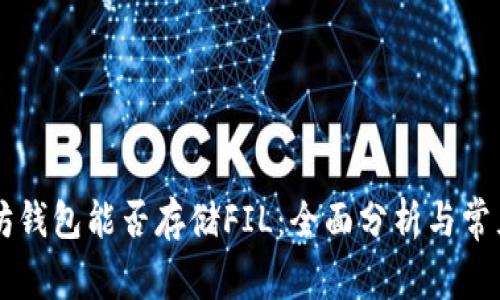 以太坊钱包能否存储FIL：全面分析与常见误区