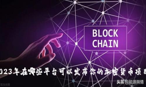2023年在哪些平台可以发布你的加密货币项目？