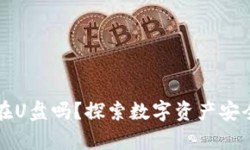 比特币钱包能放在U盘吗？探索数字资产安全存储的最佳方式