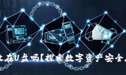 比特币钱包能放在U盘吗？探索数字资产安全存储的最佳方式