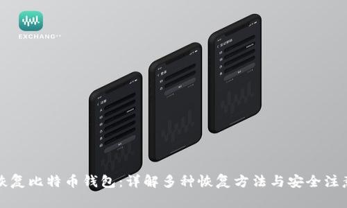 如何恢复比特币钱包：详解多种恢复方法与安全注意事项