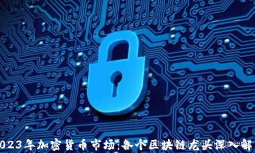 
2023年加密货币市场：各个区块链龙头深入解析