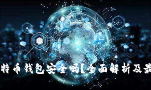 网页比特币钱包安全吗？全面解析及最佳实践