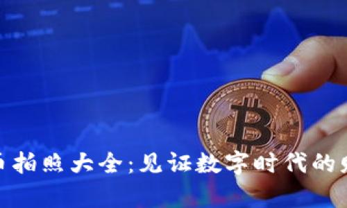加密货币拍照大全：见证数字时代的财富变迁