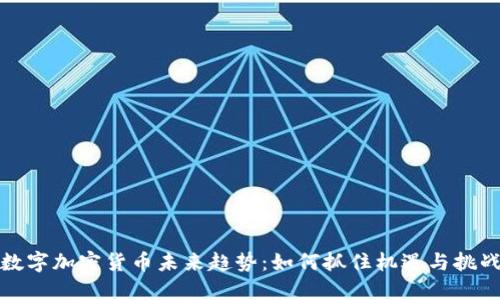 数字加密货币未来趋势：如何抓住机遇与挑战