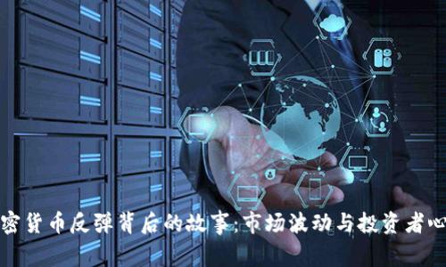 加密货币反弹背后的故事：市场波动与投资者心态
