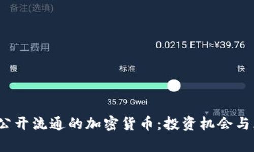 2023年公开流通的加密货币：投资机会与风险分析