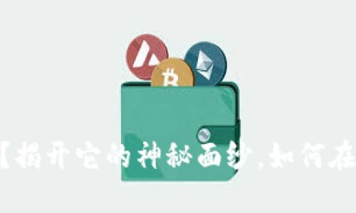 MID加密货币是什么？揭开它的神秘面纱，如何在投资中获得更多收益