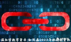 外国加密数字货币：如何在2023年把握投资机会