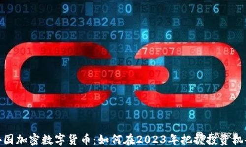 
外国加密数字货币：如何在2023年把握投资机会