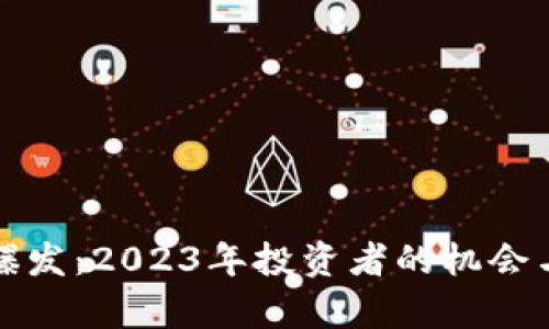 加密货币爆发：2023年投资者的机会与风险分析