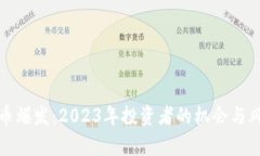 加密货币爆发：2023年投资者的机会与风险分析