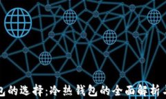 区块链钱包的选择：冷热钱包的全面解析与应用