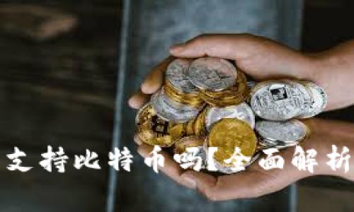 小狐狸钱包支持比特币吗？全面解析与使用指南