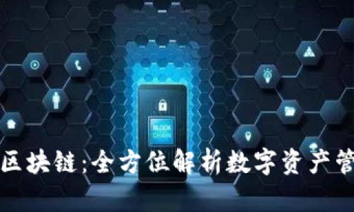 雷达钱包区块链：全方位解析数字资产管理的选择