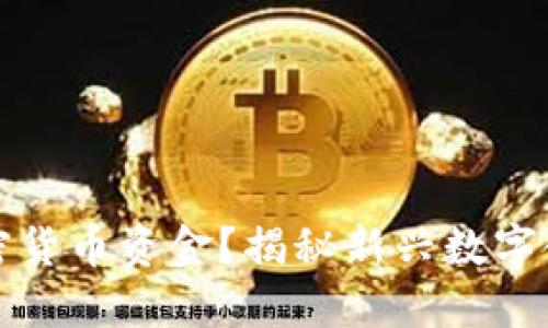 如何获得央行加密货币资金？揭秘新兴数字金融的机遇与挑战