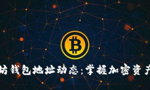 实时查看以太坊钱包地址动态：掌握加密资产的每一次脉动