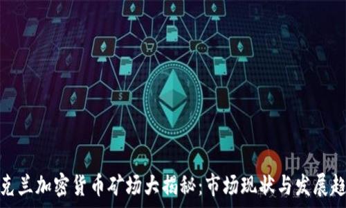  
乌克兰加密货币矿场大揭秘：市场现状与发展趋势