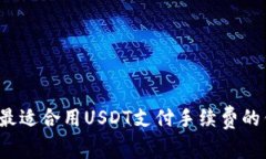 2023年最适合用USDT支付手续费的钱包推荐