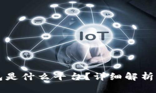 虚拟币钱包是什么平台？详细解析与使用指南