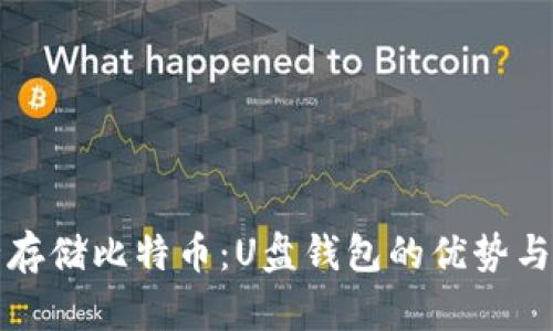 如何安全存储比特币：U盘钱包的优势与使用指南