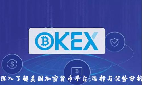   
深入了解美国加密货币平台：选择与优势分析