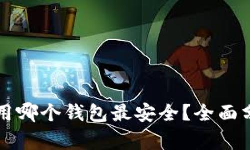 虚拟币使用哪个钱包最安全？全面分析与推荐