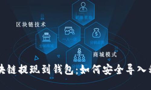 区块链提现到钱包：如何安全导入私钥