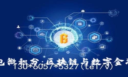 百度钱包微积分：区块链与数字金融的未来