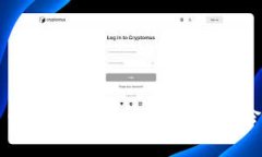 加密货币支付的安全性分析：风险与对策