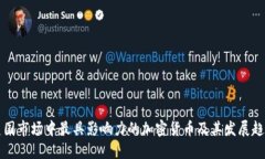 美国市场中最具影响力的加密货币及其发展趋势