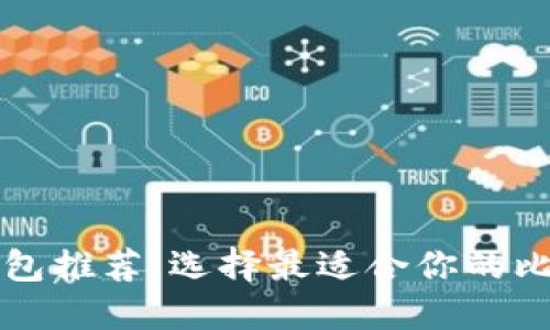 比特币钱包推荐：选择最适合你的比特币钱包