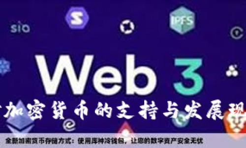 非洲对加密货币的支持与发展现状分析